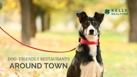 Dog Friendly Waco